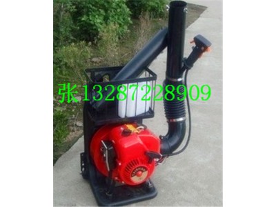 批發(fā)6MF-30背負式風(fēng)水滅火機