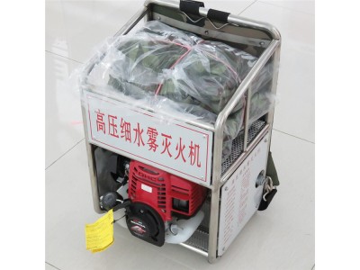 濟寧雷沃便攜式背負式多功能風(fēng)力風(fēng)高壓細水霧滅火機廠(chǎng)家批發(fā)價(jià)