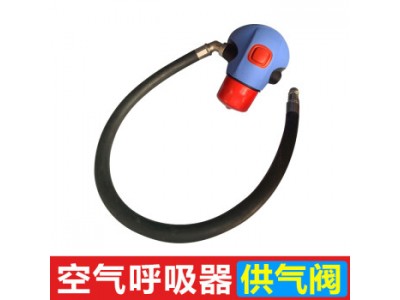 通用呼吸器標準供氣閥