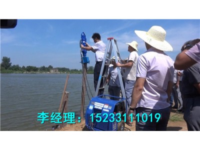 防汛搶險液壓打樁機，智能環(huán)保型防汛液壓植樁機