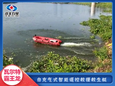 河北五星瓦爾特霸王龍自展式智能救生艇，船體自動(dòng)充氣救生艇